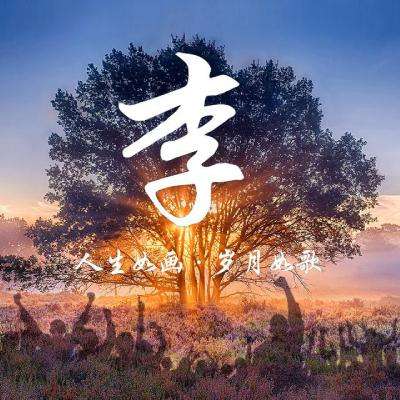 玄界ol九游版下载